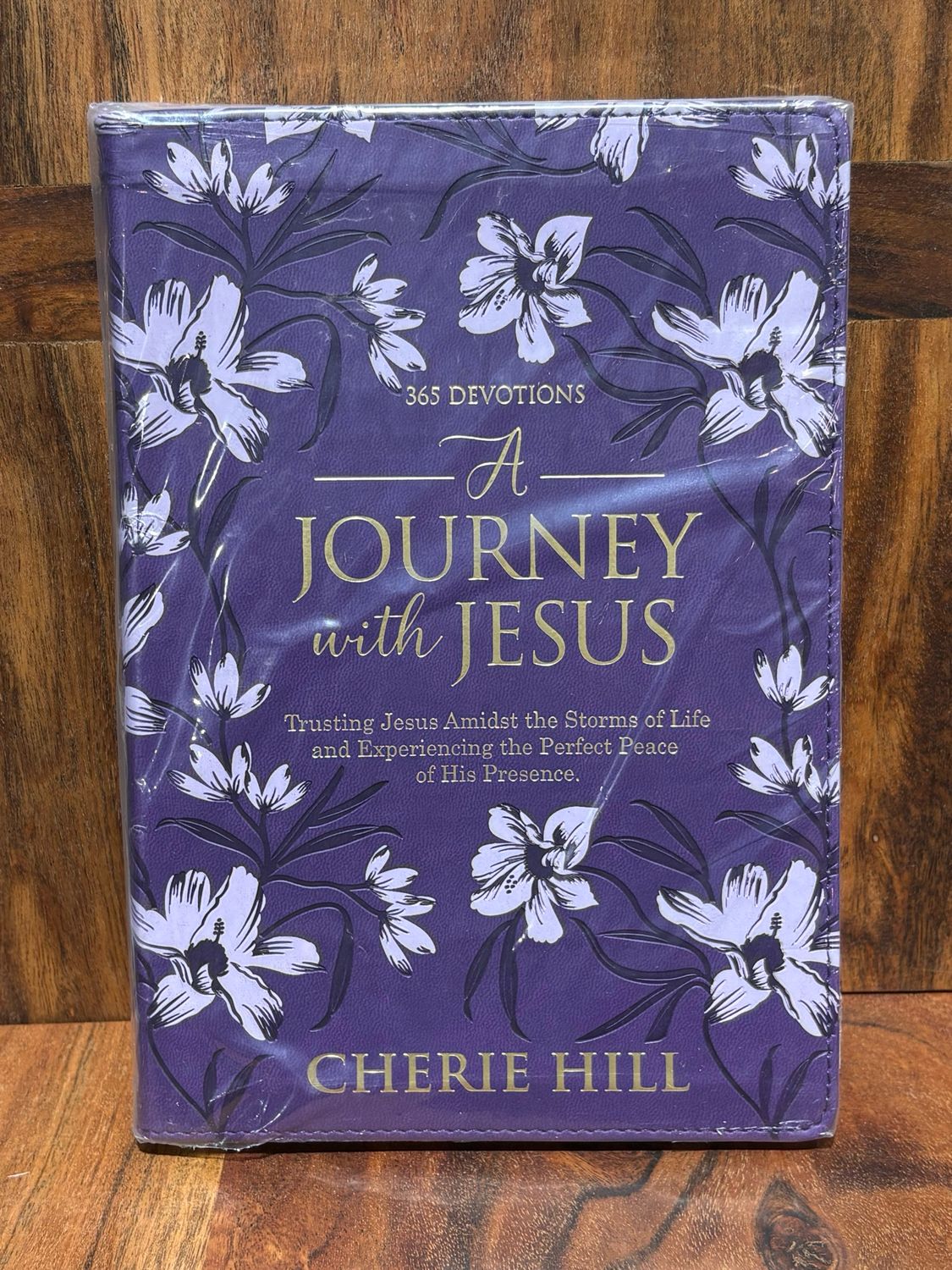 CAG Journey w Jesus Devotional