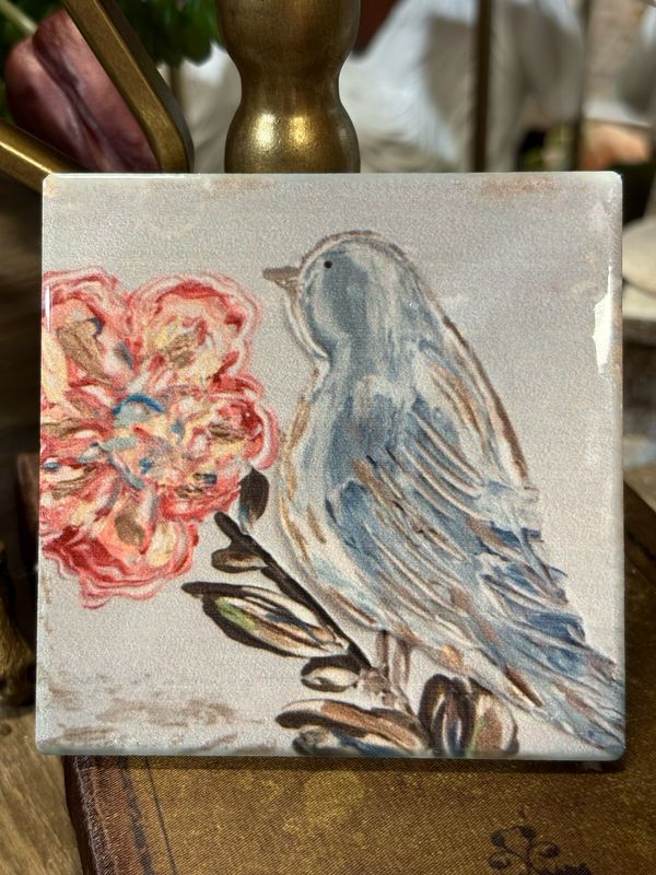 SCM 4x4 Coaster Ga Blue Bird