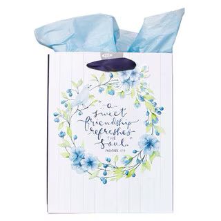 CAG Sweet Friendship Blue Md Gift Bag