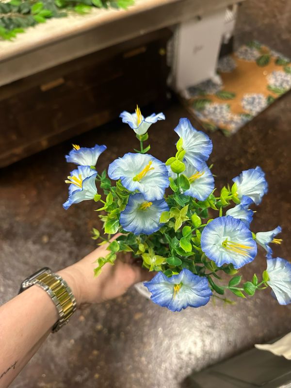DCC Blue 14" Mini Morning Glory Bunch