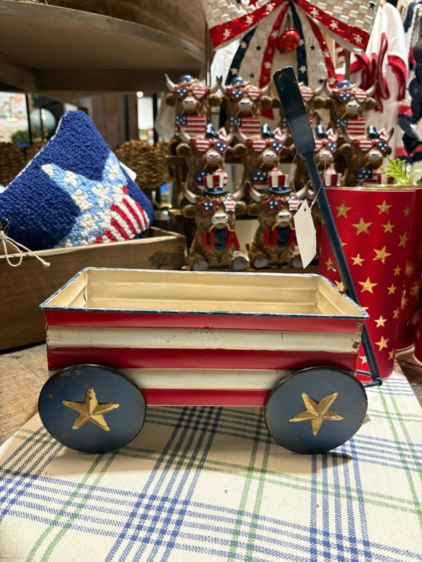 PT Wagon Americana 11.25x5x12