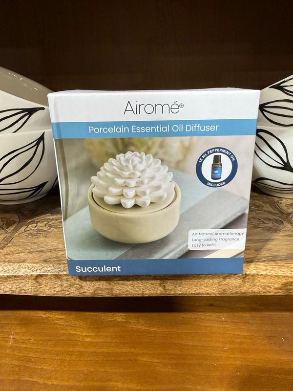 PT Succulent Oil Diffuser