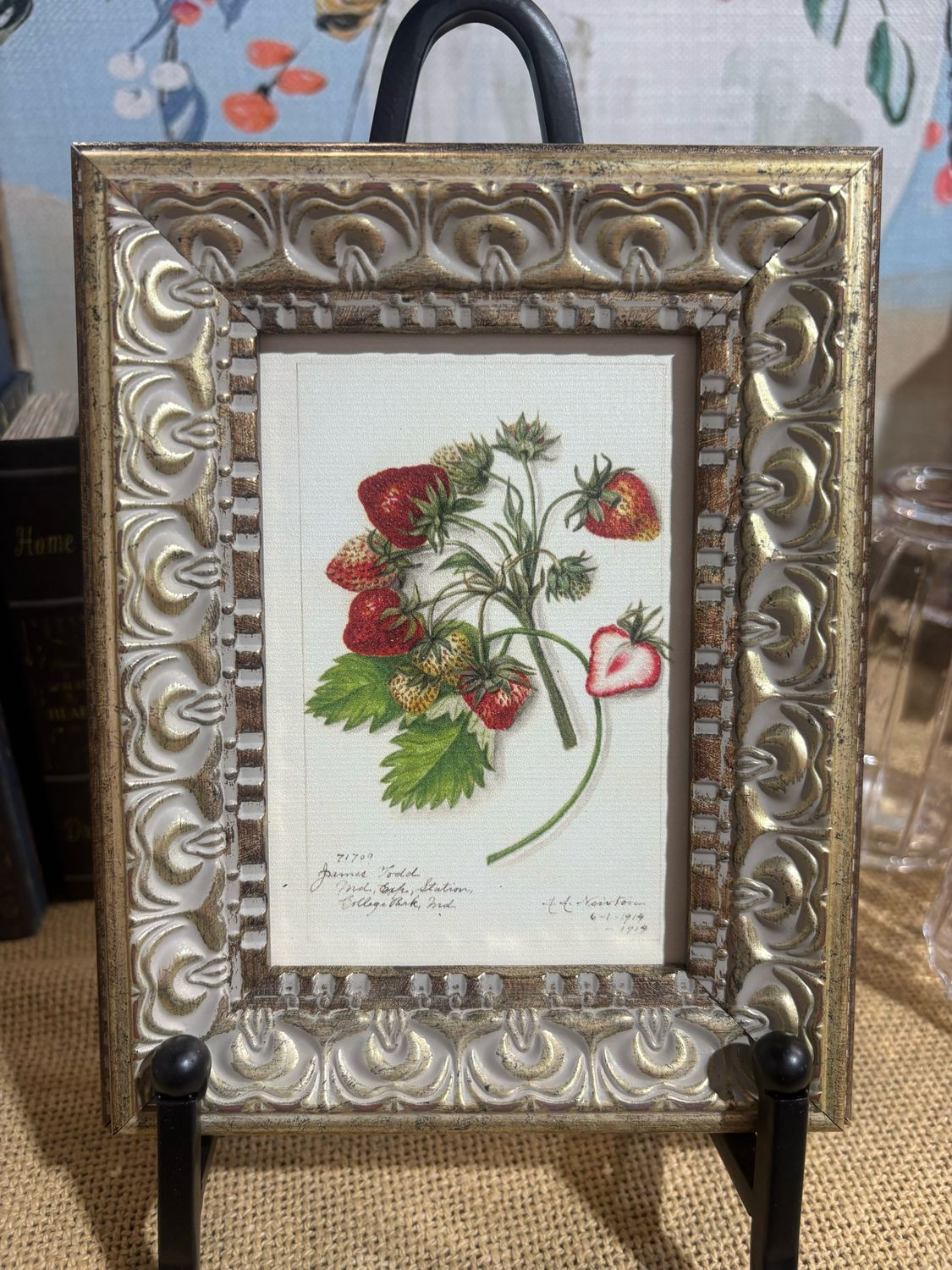PLH Study of Strawberries