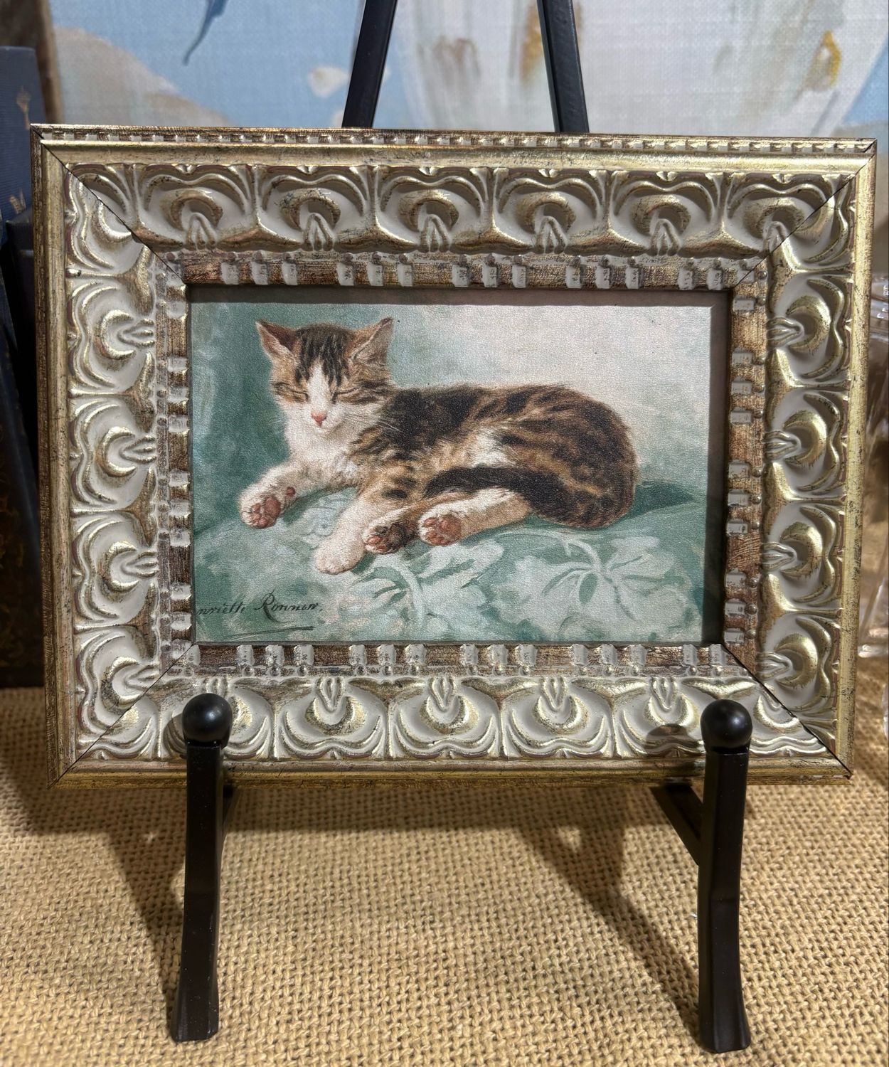 PLH 7x5 Cat Nap