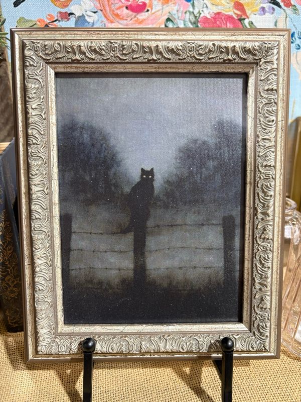 PLH 8x10 Black Cat in Night