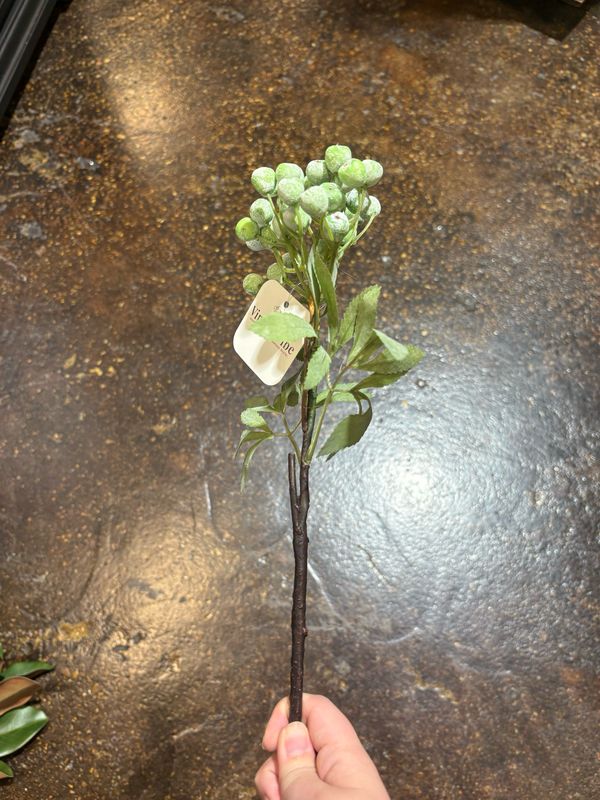 ANG 14" Frosty Mint High-End Berry Pick