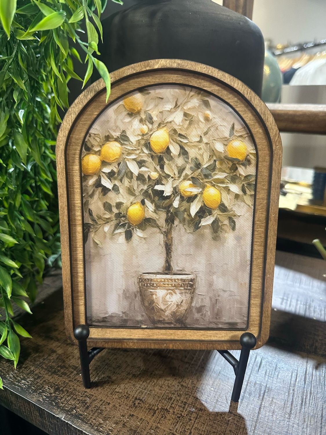 Red Arch 8x6 Lemon Tree