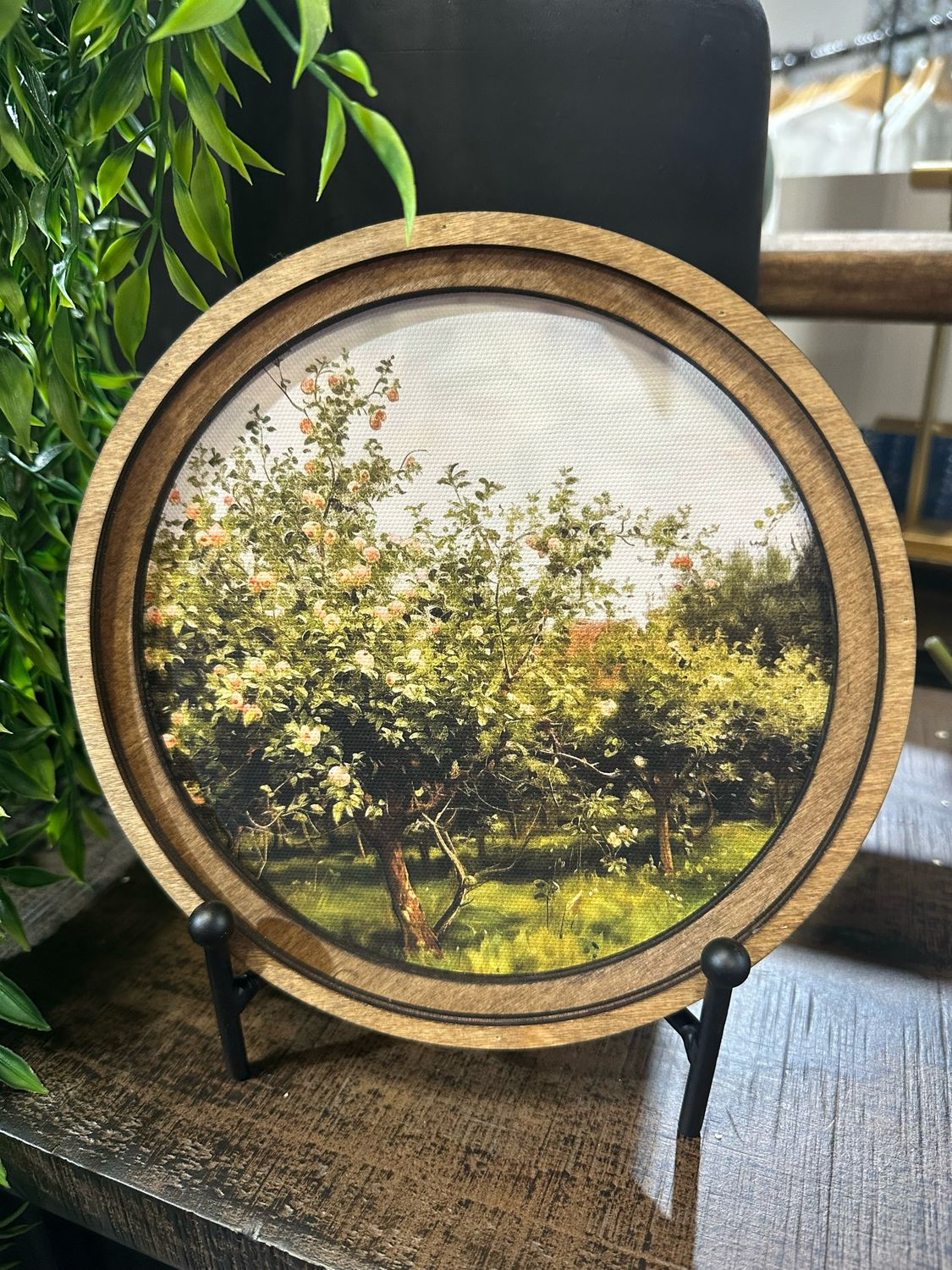 Red 8" R Apple Orchard