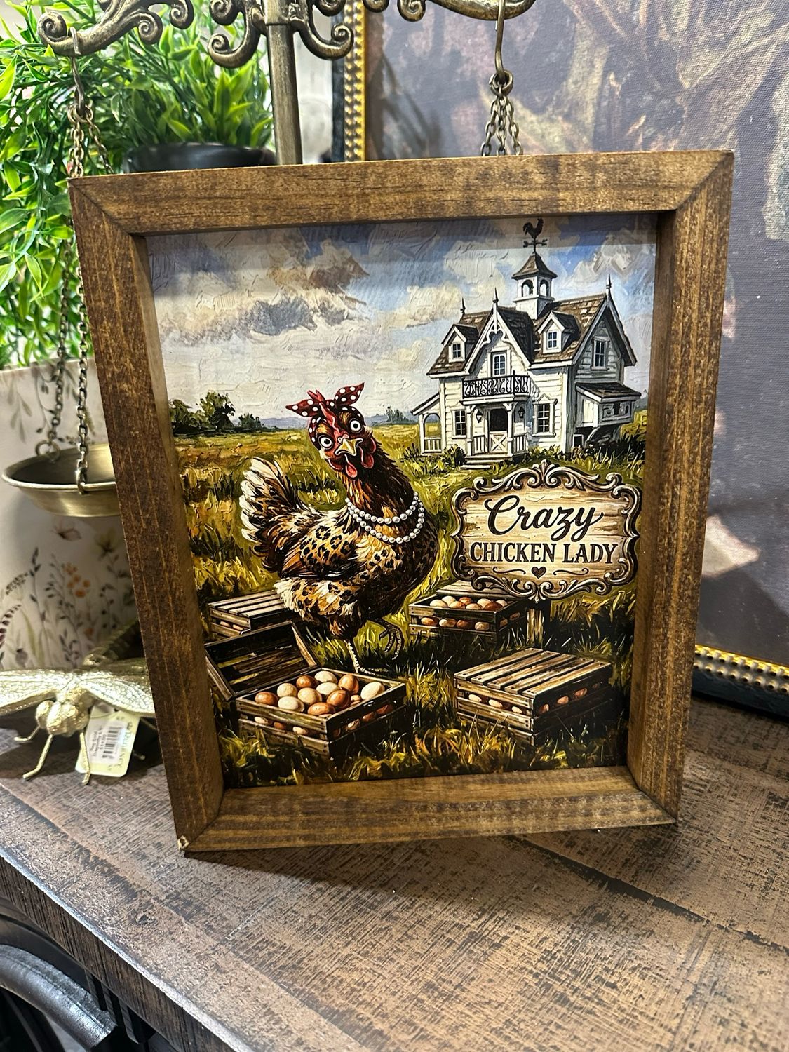 Jarmz 9x11 Crazy Chick Mansion