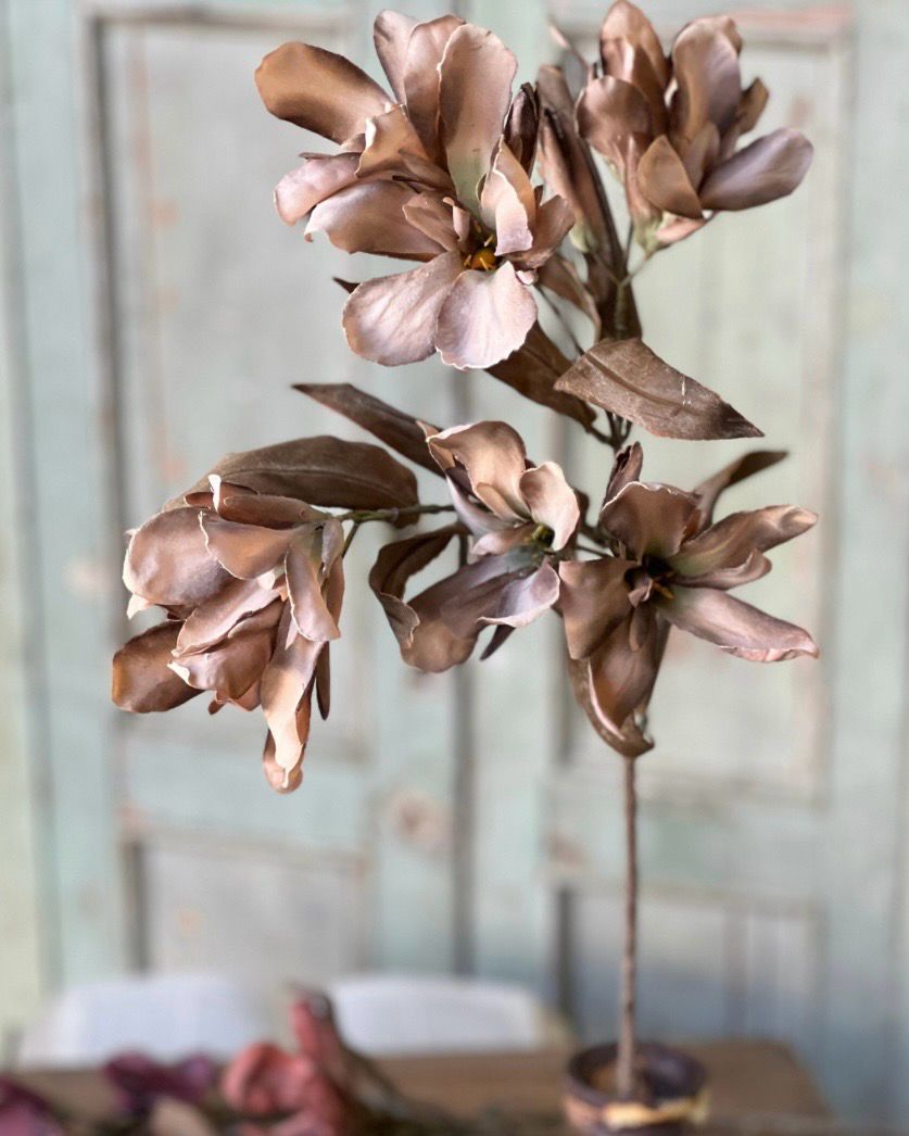 Lan Tawny 33" Canna Spray