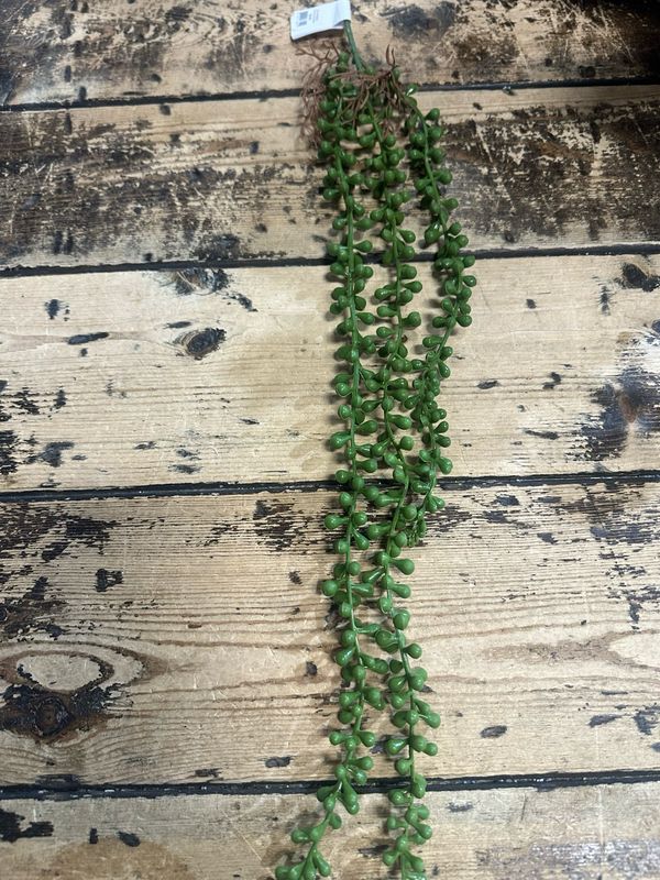 Ang Hanging String Succulent 30"
