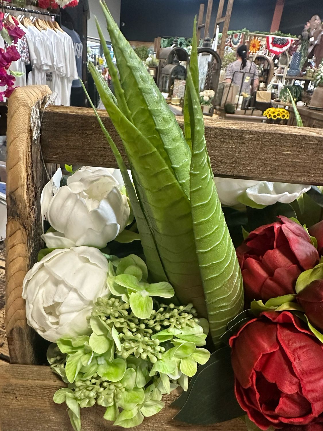 Ang 14" Art Aloe Vera