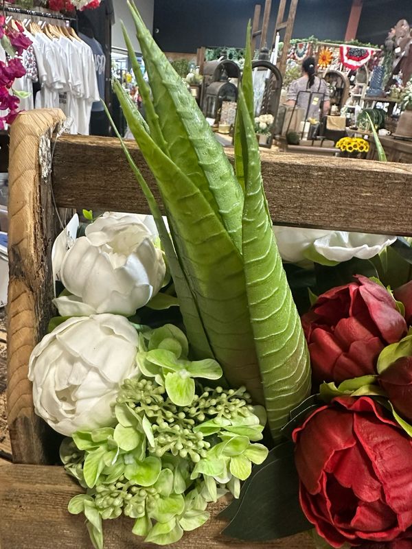Ang 14" Art Aloe Vera