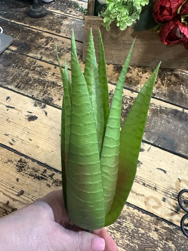 Ang 14" Art Aloe Vera
