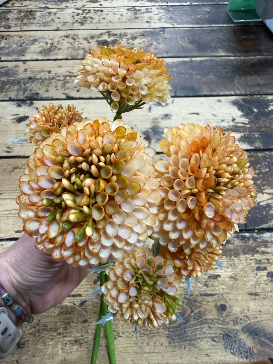 ARL 13" Orange Sedum Bundle