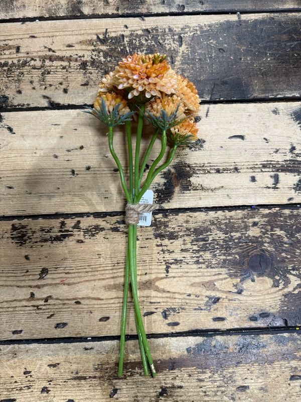 ARL 13" Orange Sedum Bundle