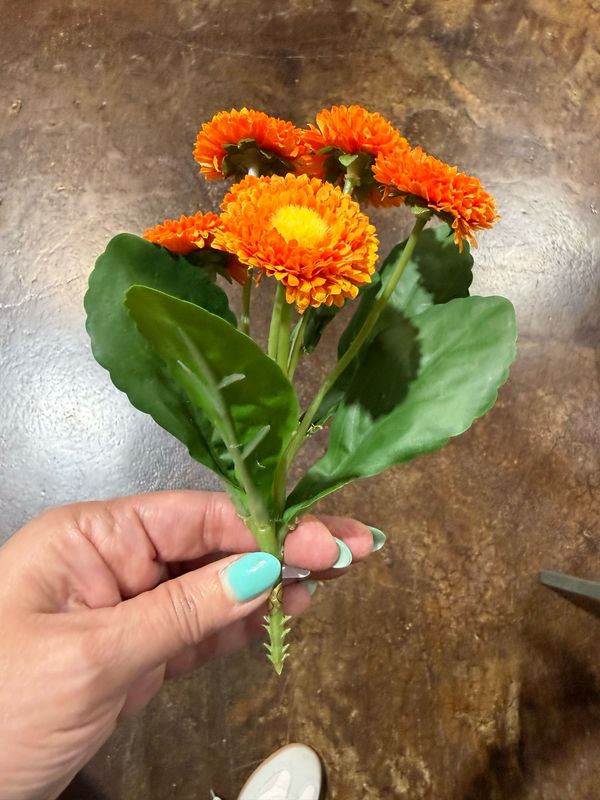 ARL 7" Orange Button Spray