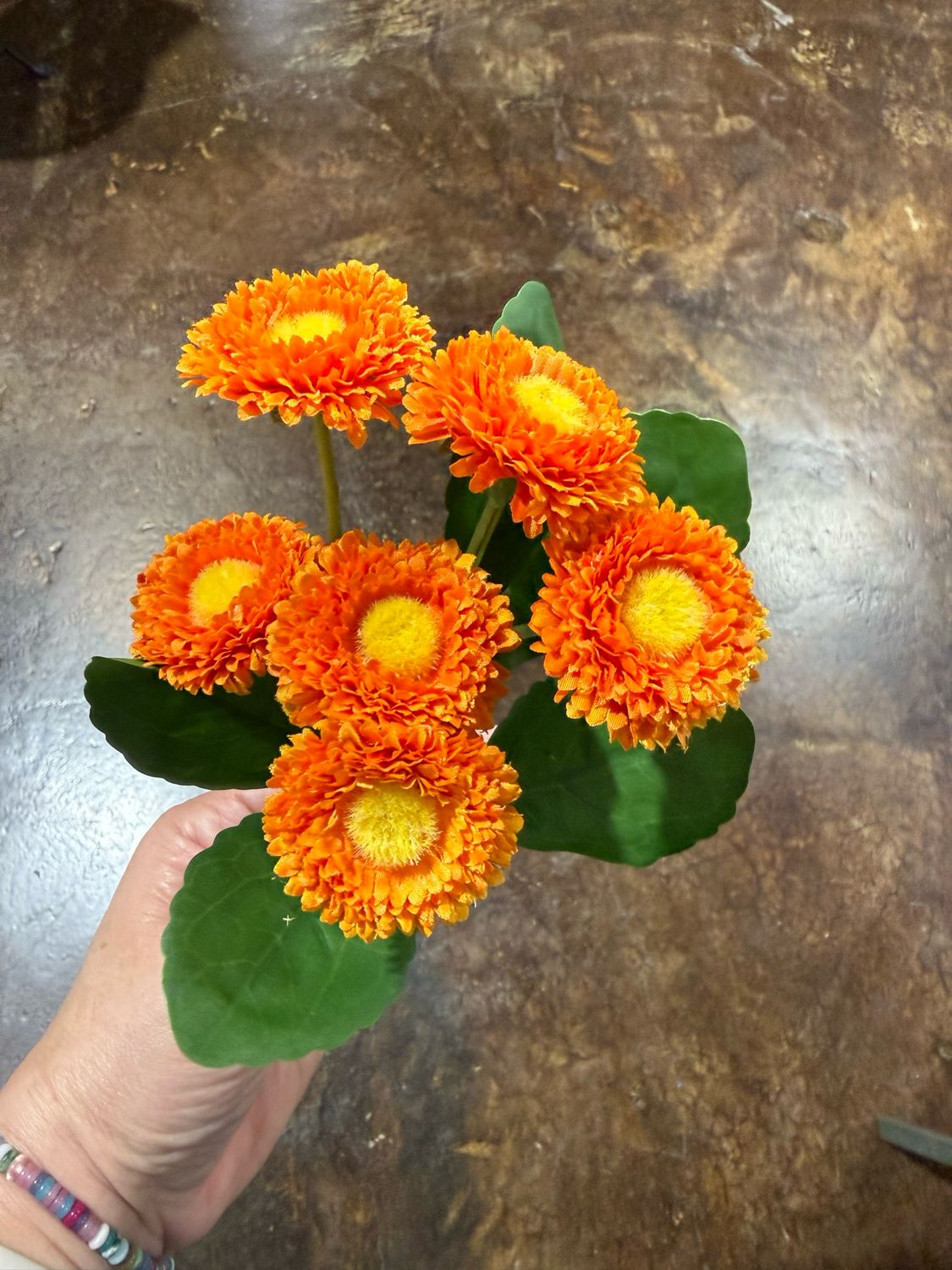 ARL 7" Orange Button Spray