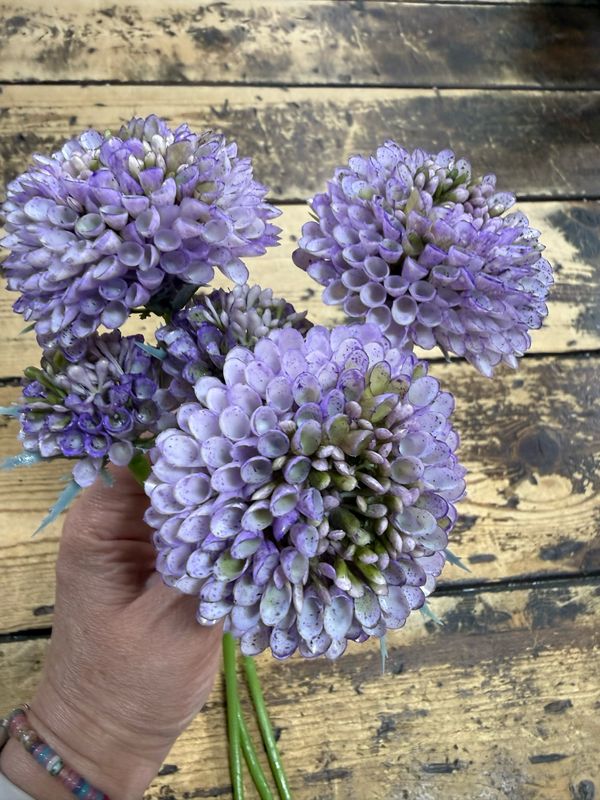 ARL 13" Purple Sedum Bundle