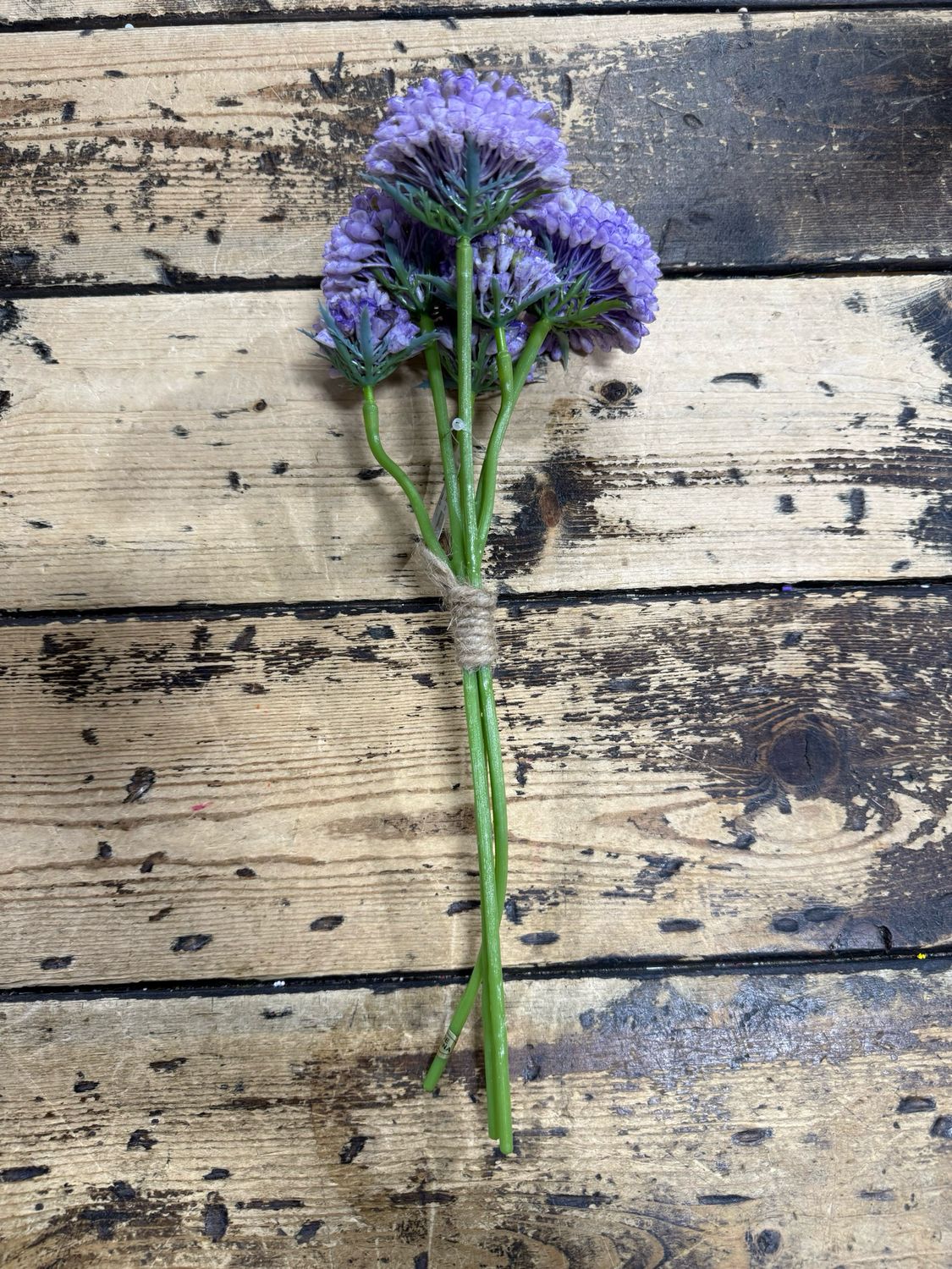 ARL 13" Purple Sedum Bundle