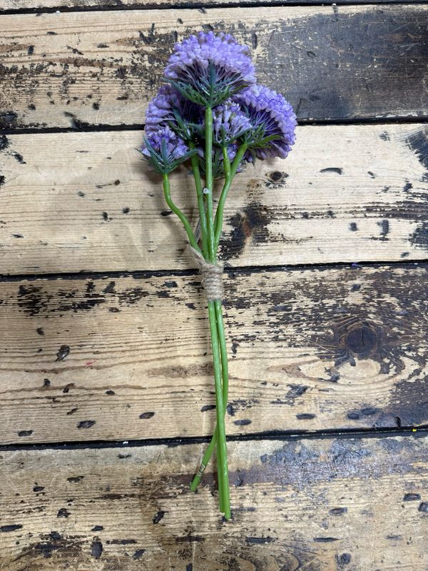 ARL 13" Purple Sedum Bundle