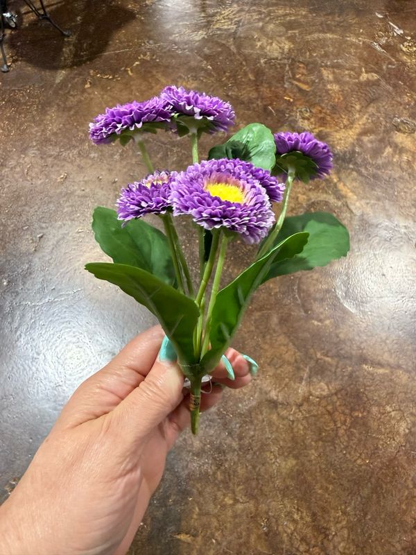 ARL 7" Purple Button Spray