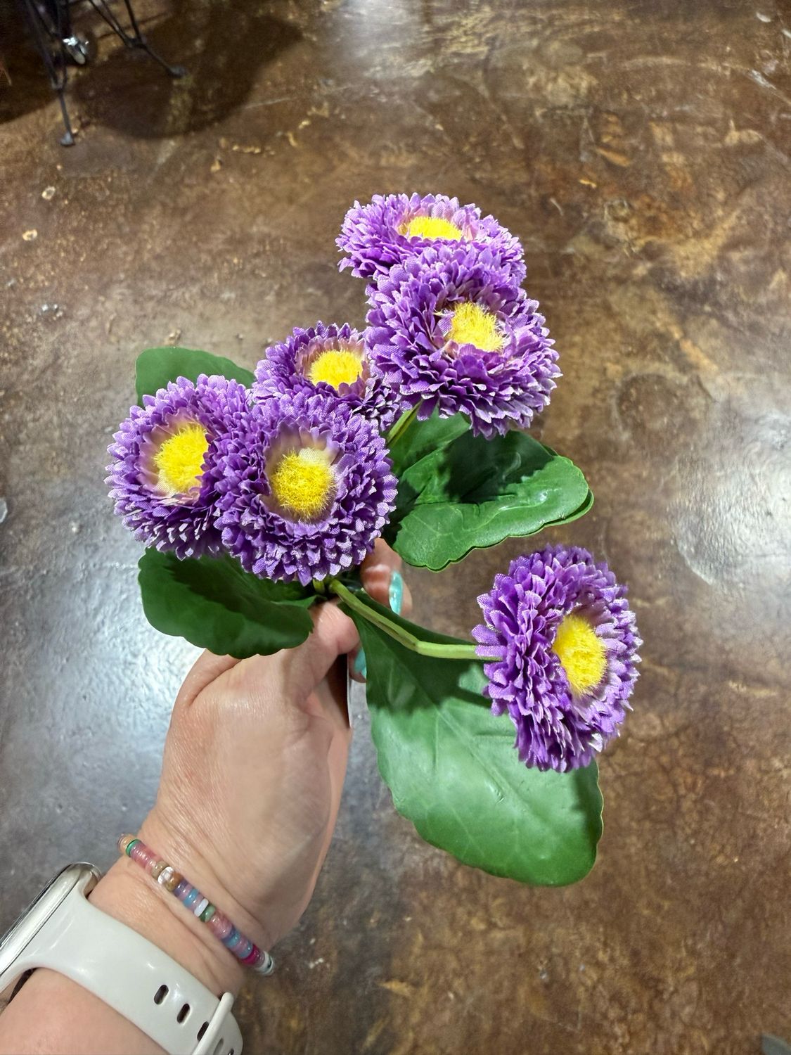 ARL 7" Purple Button Spray