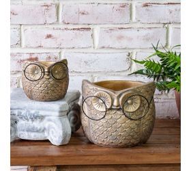 PDG Lg Gold Owl w Glasses Planter 7.5x6.5