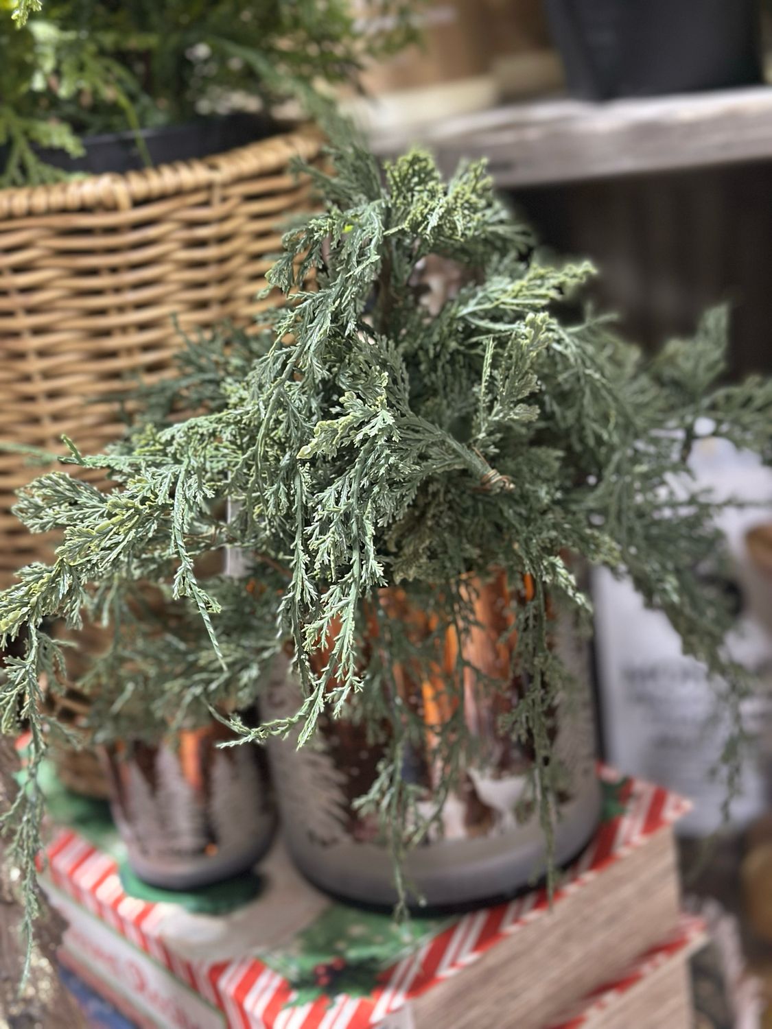 WTC Dk Green Juniper Pick 19.5"