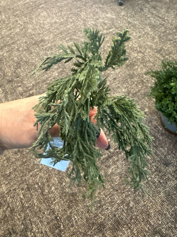 WTC Mini Juniper Dripping Garland 13"