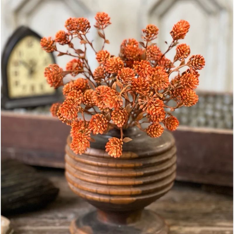 Lan 12" Russet Cone Bush - Sienna