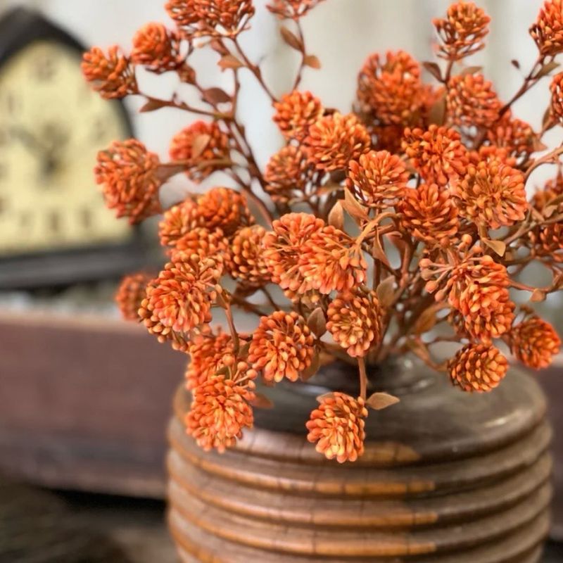 Lan 12" Russet Cone Bush - Sienna