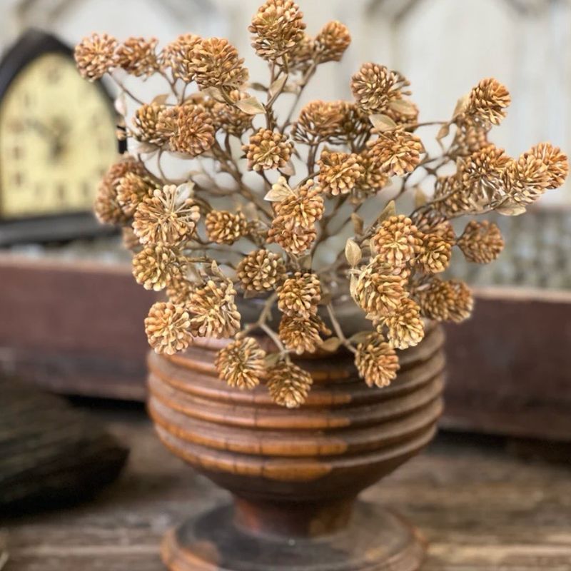 Lan 12" Russet Cone Bush - Cinnamon