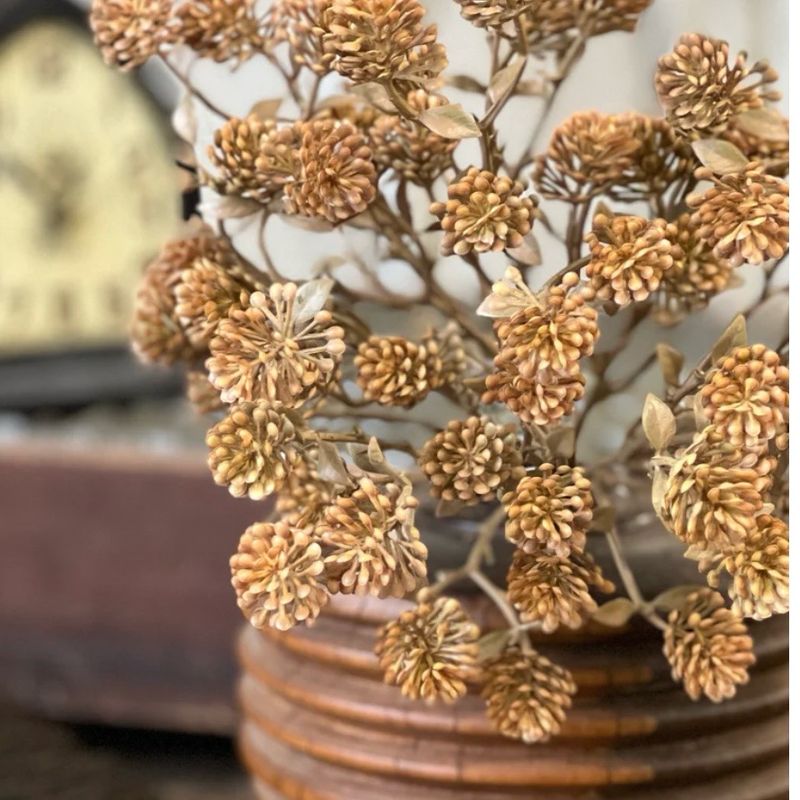Lan 12" Russet Cone Bush - Cinnamon