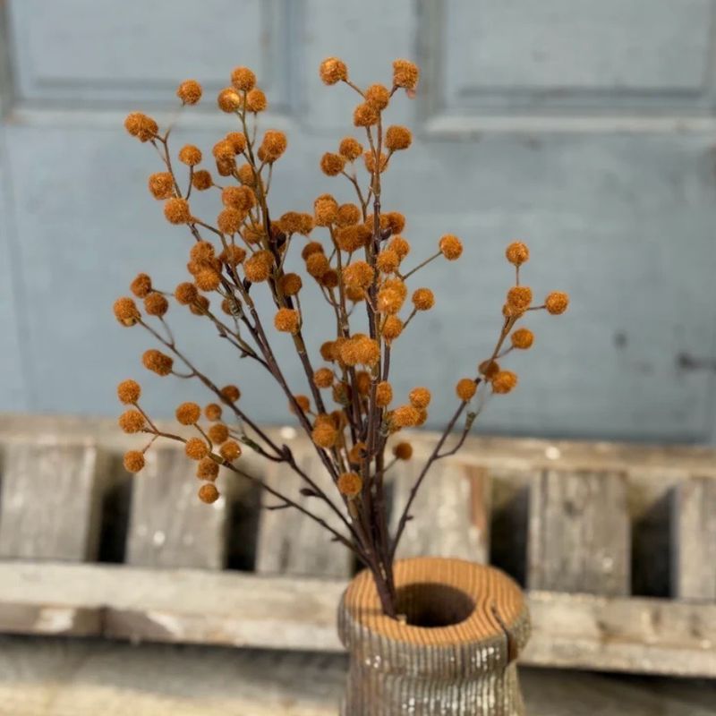 Lan 19" Winged Seeds Chestnut