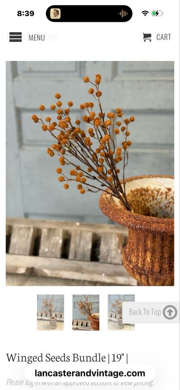 Lan 19" Winged Seeds Chestnut
