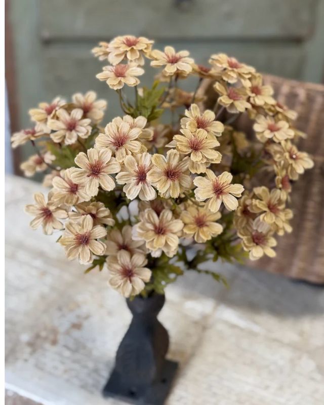 16" Courtland Cosmos Flax