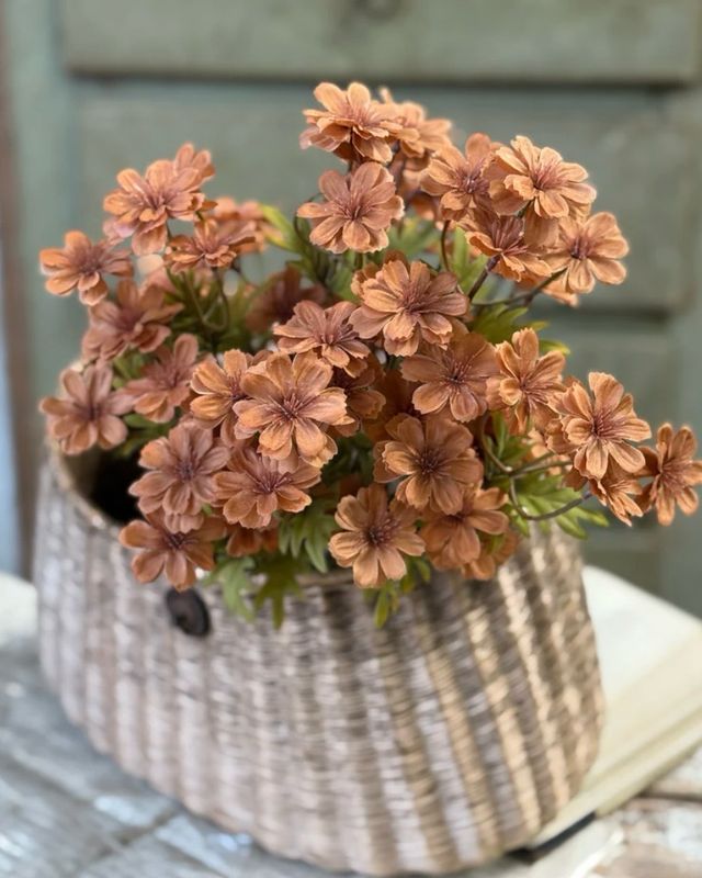 16" Courtland Cosmos Spice