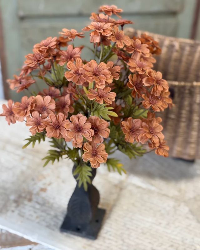 16" Courtland Cosmos Spice