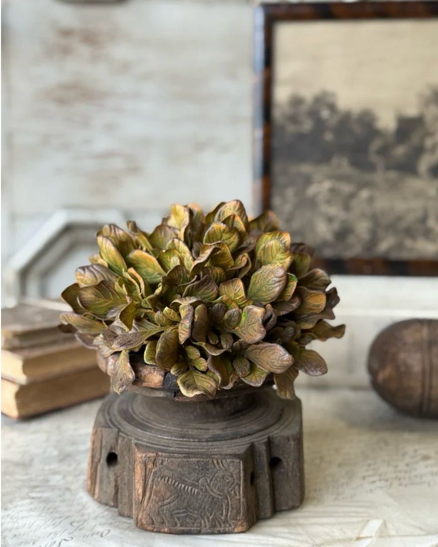 Lan 7.5" Sepia Groves Half Sphere