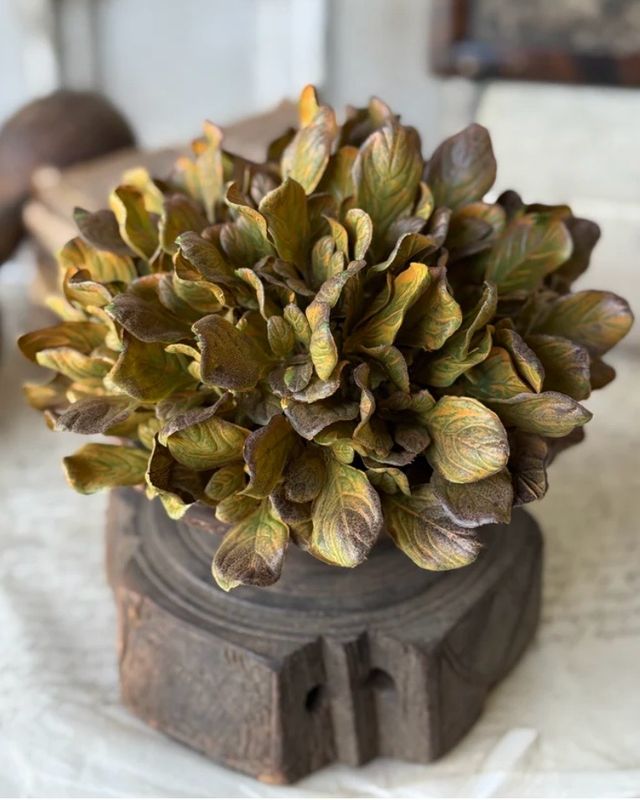 Lan 7.5" Sepia Groves Half Sphere