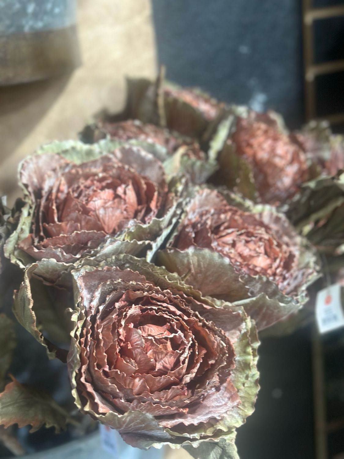Aud 27" Autumn Cabbage Nutmeg