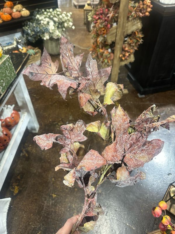 Aud 39" Dried Look Maple Rust