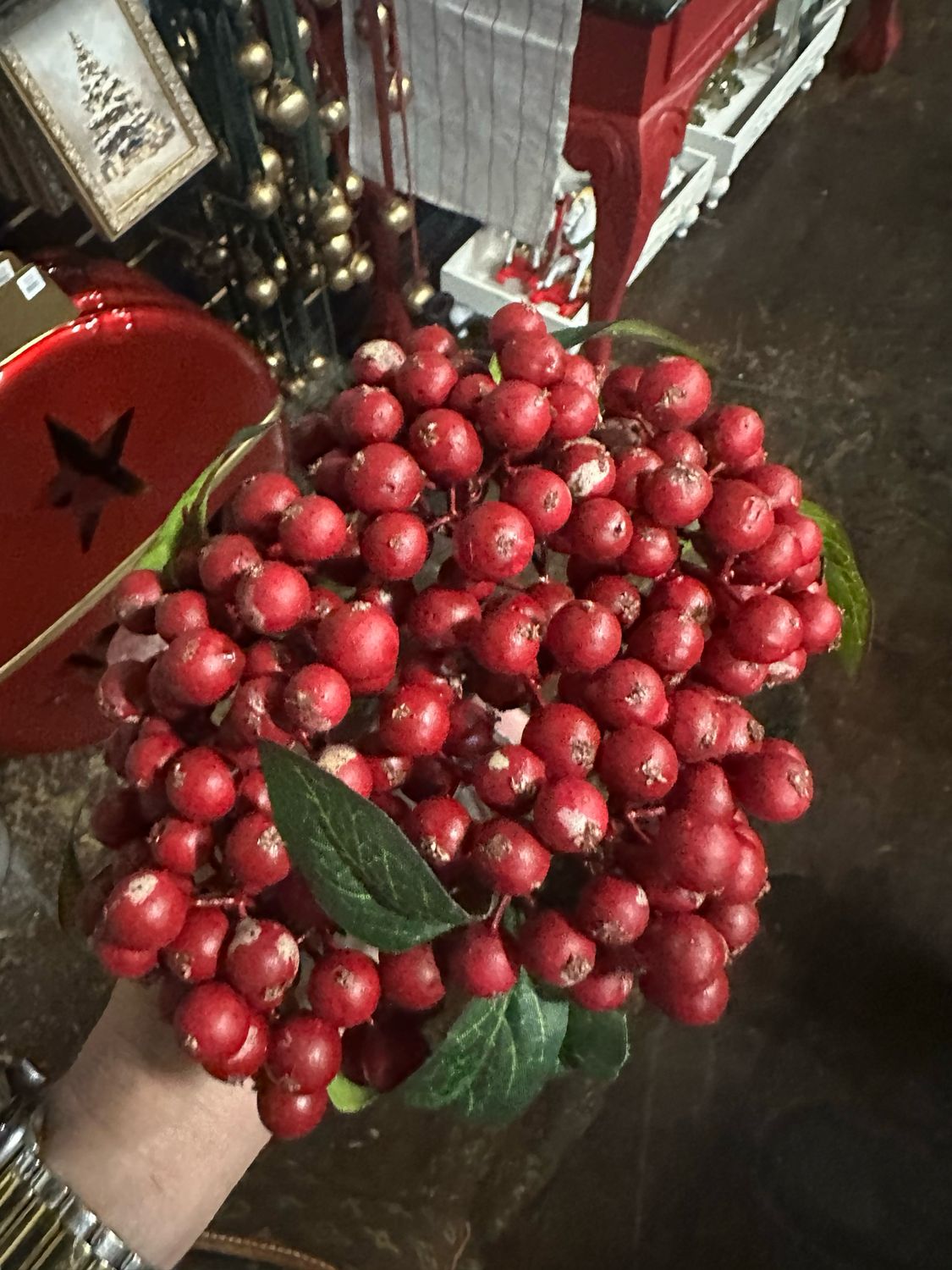 PVH Red Berry Bundle