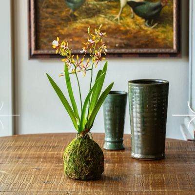 PVH Small Orchid Ball Golden 18"