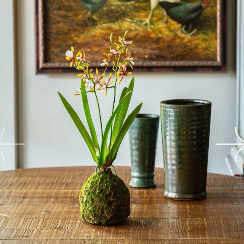 PVH Small Orchid Ball Golden 18"