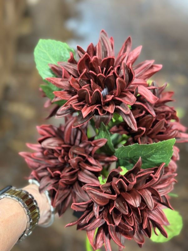 KKI 12" Burgundy RT Dahlia Bundle 6 Stems