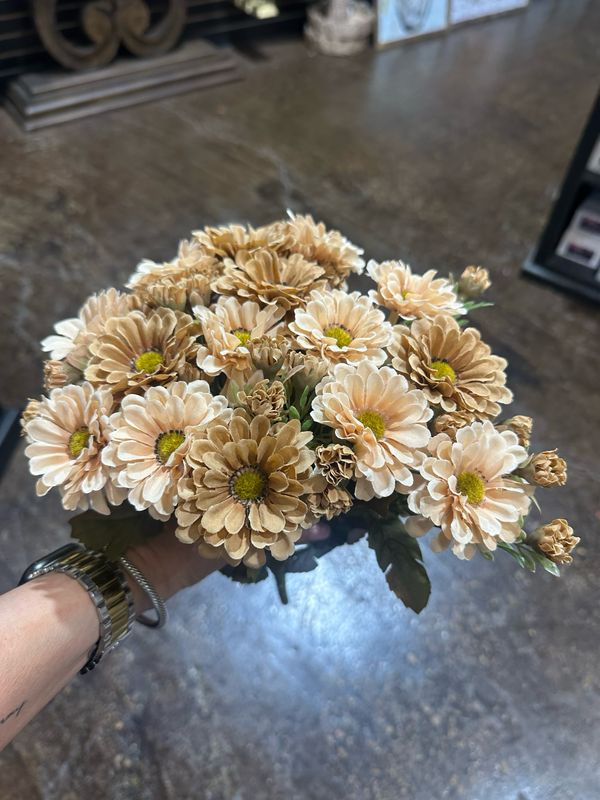 KKI 15" Beige Mum Bush