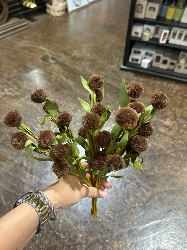 KKI 13" Dk Brown Pompom Pick w Green Eva Leaves Bundle 6 Stems
