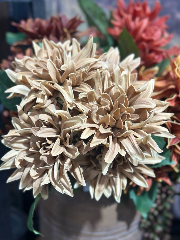KKI 12" Tan RT Dahlia Bundle 6 Stems